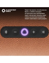 ������ ������� ����� YNDX-00030ORG (���������)