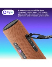 ������ ������� ����� YNDX-00030ORG (���������)