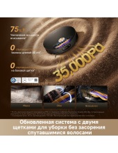 Robot Vacuum X60 Master RLX88DE (������)