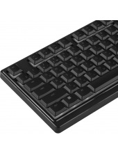 Ornata V3 X RZ03-04470100-R3M1 (������)