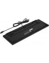 Ornata V3 X RZ03-04470100-R3M1 (������)