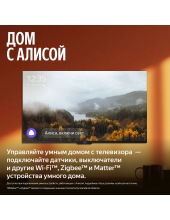 �� ������� MiniLED � ������ 55'' (YNDX-00097)