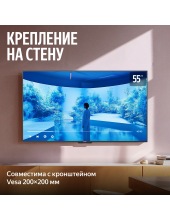 �� ������� MiniLED � ������ 55'' (YNDX-00097)