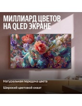 �� ������� MiniLED � ������ 65'' (YNDX-00098)
