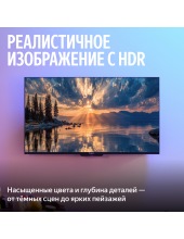 �� ������� MiniLED � ������ 65'' (YNDX-00098)