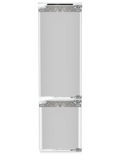 ICBNc 5623