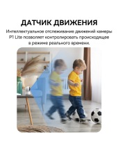 Security P1 Lite 2K S0TV002132 (�����)