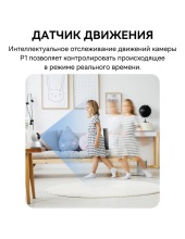 Security P1 3K S0TV012132 (�����)