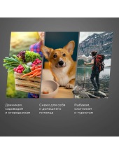 FD1102 (черный) FD1102 (черный)