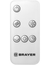 BR4955