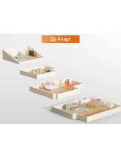 F21 Plus RLF42GD (белый) F21 Plus RLF42GD (белый)