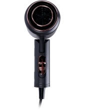 CT-2202 (�����)