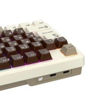 RK N99 Mokko Grey (Violet switch)