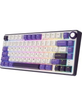 R75 Blackberry (K silver switch)