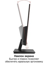 SmartView EP2200 (EX300342RUS)