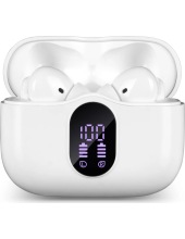 E-310B (�����)