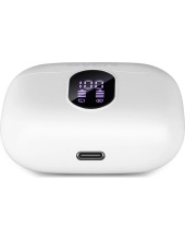 E-310B (�����)