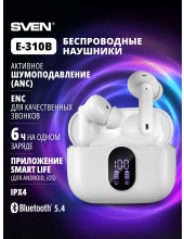 E-310B (�����)