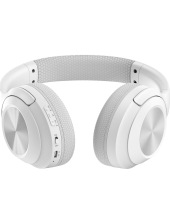 BH220 Fstyler (�����)