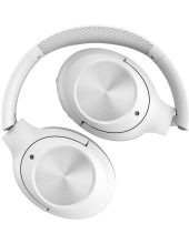 BH220 Fstyler (�����)