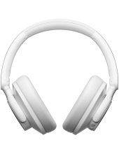 FitBuds H1 (�����)