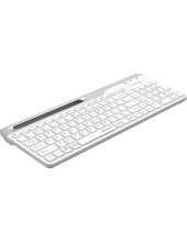 FBK25 Fstyler (�����/�����)