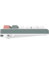 RK-S98 RGB Clay Green (RK Pale Green)