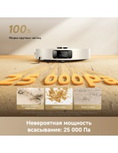 Robot Vacuum D30 Pro RLD29SA (�����)