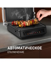 WCG-350 Chef's Steak