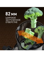 WSJ 200 MB Compact Juice
