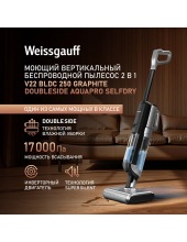 V22 BLDC 250 Graphite DoubleSide AquaPro SelfDry