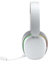 G7pro (�����)