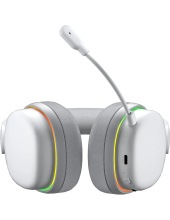 G7pro (�����)