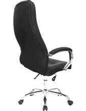 ROGER chrome (BLACK, �������� DMSL)