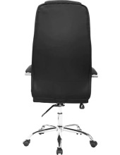 ROGER chrome (BLACK, �������� DMSL)