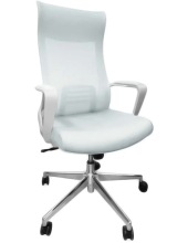 ������� ������ SITUP Record White Chrome (Light Grey)