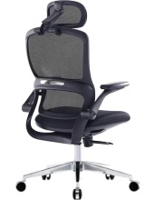 Sity Black Chrome (����� Black/Black)