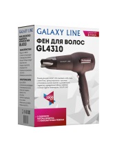 GL 4310