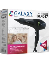 GL 4317