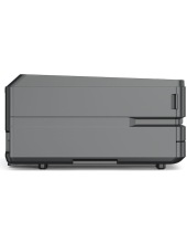P3100DN