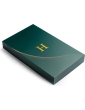H-Tab Crystal 6GB/128GB LTE (мятный) H-Tab Crystal 6GB/128GB LTE (мятный)