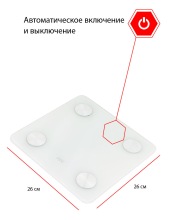 JBS-002 JBS-002