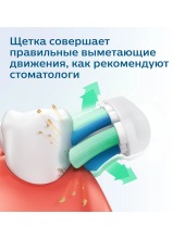 HX3651 (HX3651/11)