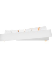 Gooseboard RSQ-20066 g3ms Aquamarine (������)