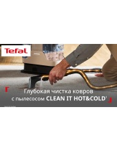 IZ7021F0 ��� IN70