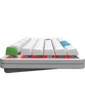 Alumix TKL Simple g3ms Amber (�����)
