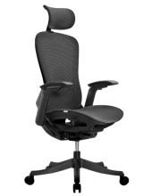 ������� ������ SPARX Enigma Plus (������)