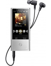 mp3  SONY NW-ZX100HNS ()