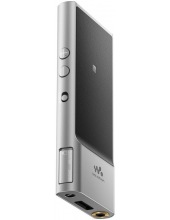 mp3  SONY NW-ZX100HNS ()