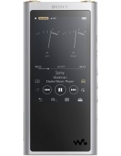mp3  SONY NW-ZX300 ()